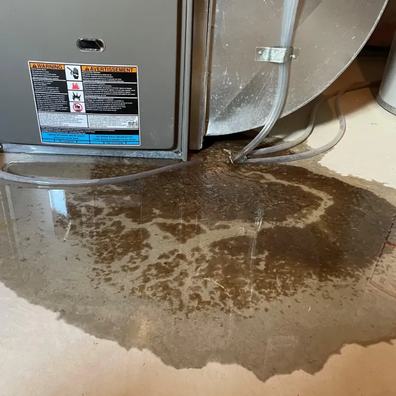 Appliance Leak Cleanup in Fridley, MN